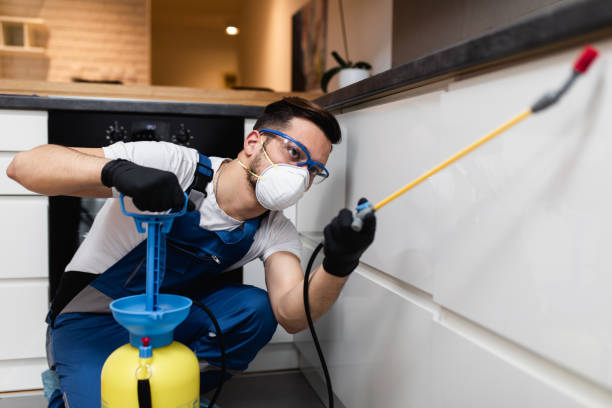 Best Rat Extermination Near Me  in Edisto, SC