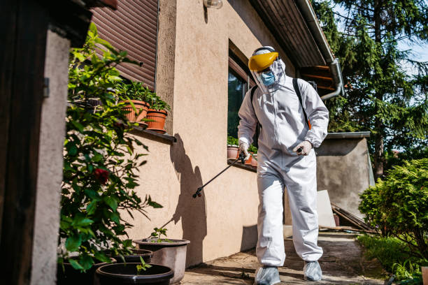 Best Emergency Pest Control  in Edisto, SC