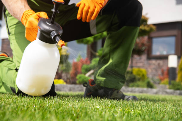 Best Best Pest Control Companies  in Edisto, SC