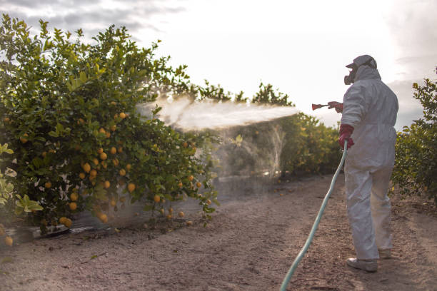 Best Pest Prevention Services  in Edisto, SC