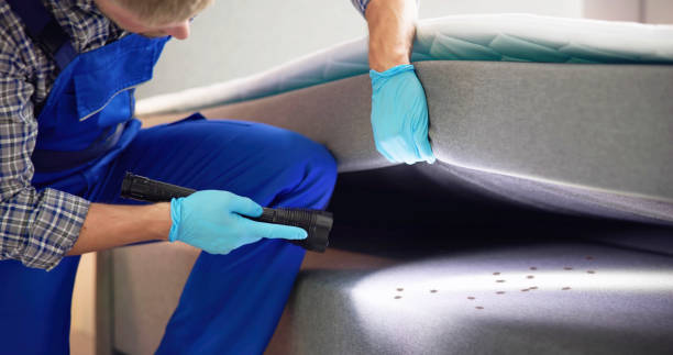 Best Affordable Pest Control Services  in Edisto, SC