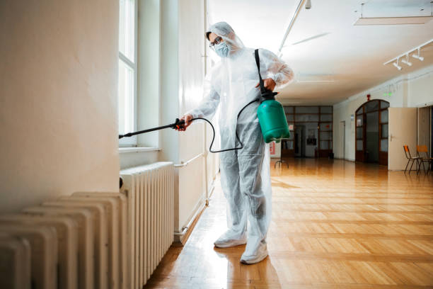 Best Affordable Pest Control Services  in Edisto, SC